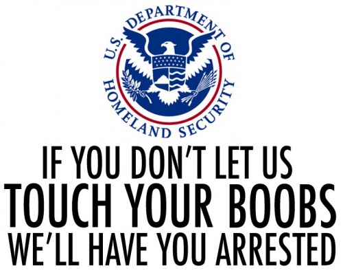 Say NO to the TSA. Opt out of the porno-scanner