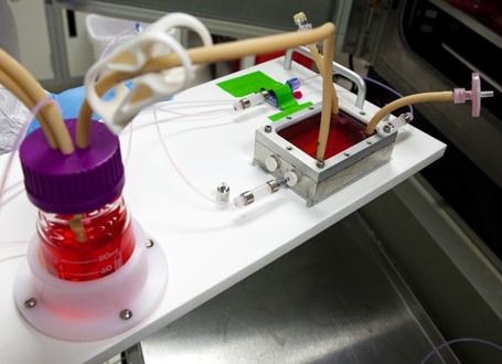 3D printer capable of printing biological organs