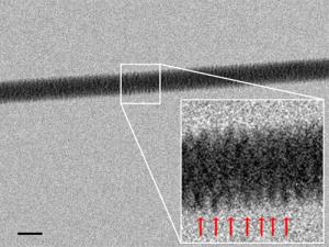 DNA strand, as seen from an electron microscope