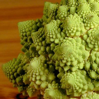 Romanesco broccoli